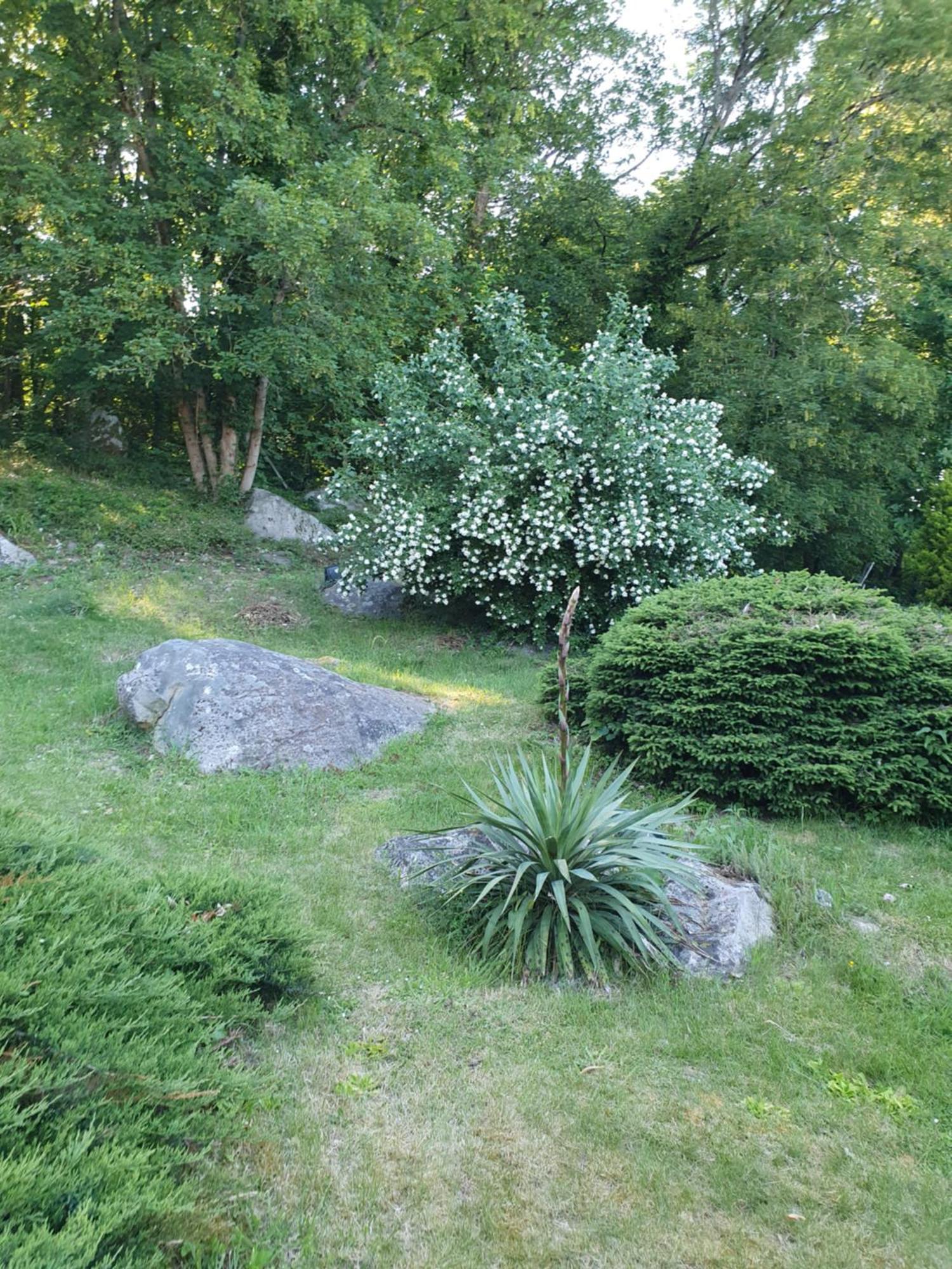 Le Jardin Des Roches Bed & Breakfast Moigny Luaran gambar